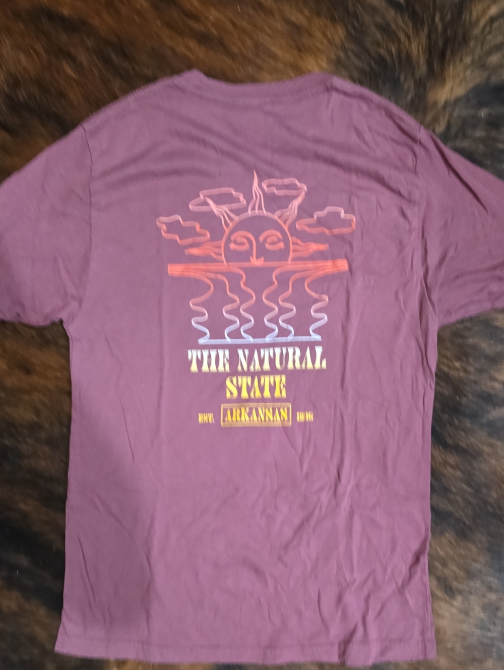 Arkansas 'The Natural State' Graphic Tee - Purple